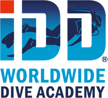 IDD logo